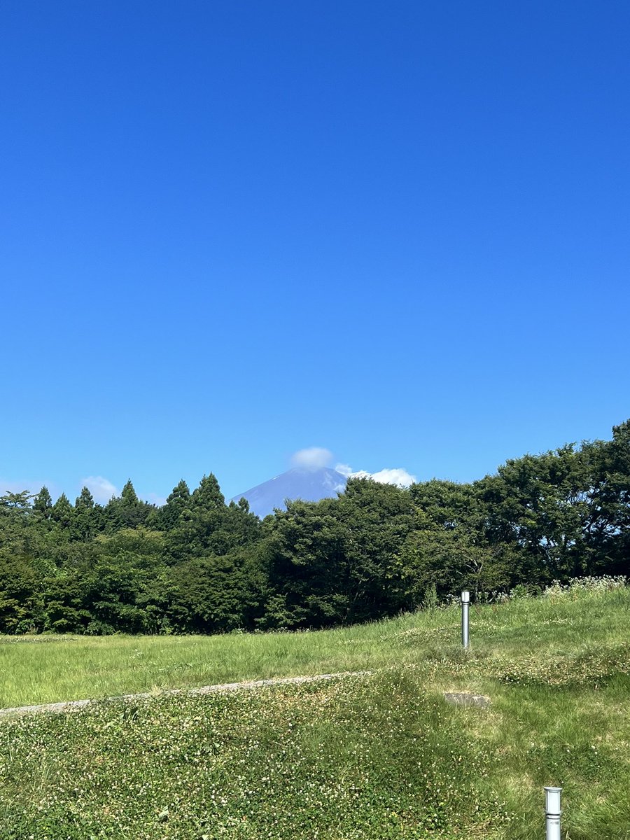 furoharatori's tweet photo. 【迷い猫】捜索３日目
今日７/30は2歳のお誕生日！最近は顔つきも凛々しくなり、大人の猫の落ち着き.物静かで猫苦手さんにもそっと寄り添って癒してくれる人気者。おめでとう㊗️
毎日晴天なのに見えなかった富士山が今日は見えた！富士山パワー全開

#迷い猫
#探してます
#足柄サービスエリア
#拡散希望 https://t.co/sX6RgwSwnm
