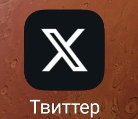 А где птичка?