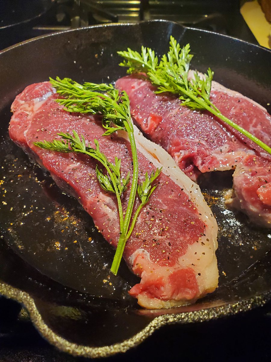 Critterclub Ⓥ 📚 tweet media