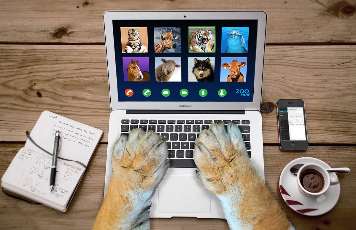 userfriendlyoc's tweet photo. Simplify your tech life with User Friendly Computer Services! Mobile PC &amp; Apple repairs, smart home setups, video production and more. Dial (949) 485-1767 - we come to you! #LagunaBeach #TechSupport #UserFriendly #SoCalTech #LagunaBeachCA #LagunaLove https://t.co/2ktX3WPsSe