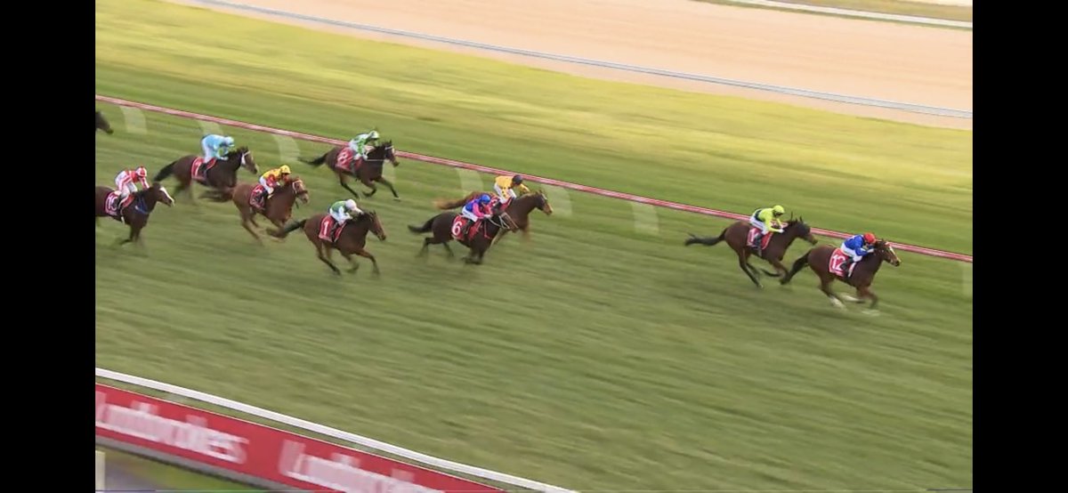 The Prime team is on fire with <a href="/Armidale_Stud/">Armidale Stud</a> Needs Further filly smashing her rivals on debut for <a href="/TrinderAdam/">Trinder Racing</a> The <a href="/mmsnippets/">Magic Millions</a> filly is a cracker🥂👏🥂 <a href="/mitchellbstock/">Mitchell Bloodstock</a> @ColinRMcNiff