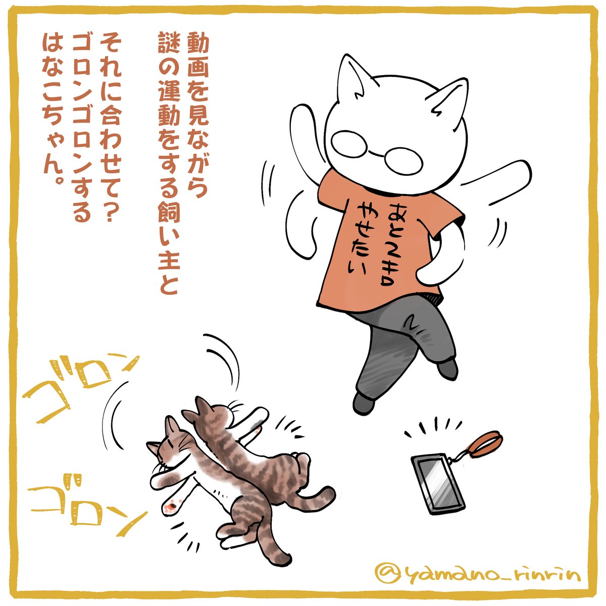 #今日の山野絵

動画を見ながら
謎の運動をする飼い主と

それに合わせて❓
ゴロンゴロンする
はなこちゃん🐈 