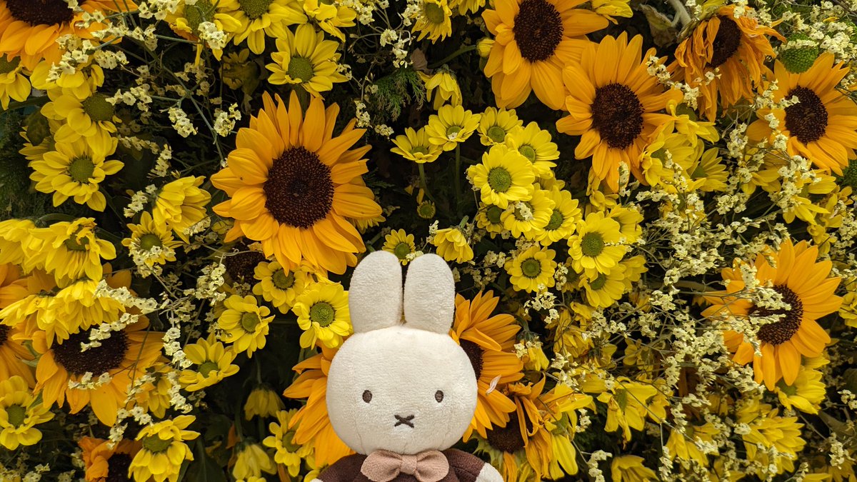 nya86_'s tweet photo. 夏だね〜
#ハ��ステンボス #夏のフォトコンテスト https://t.co/BzrquwXmDe