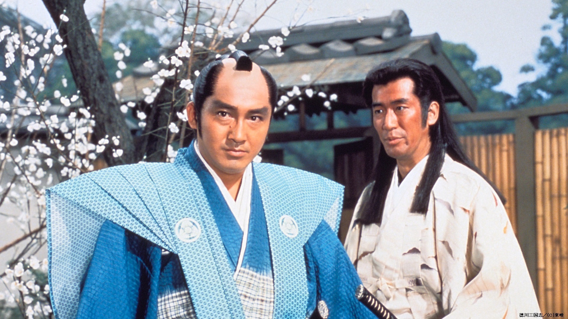 徳川家康　TBS 時代劇　松方弘樹　DVD 2枚セット Amazon.co.jp: 徳川家康 [DVD] : 松方弘樹, 十朱幸代, 名取裕子