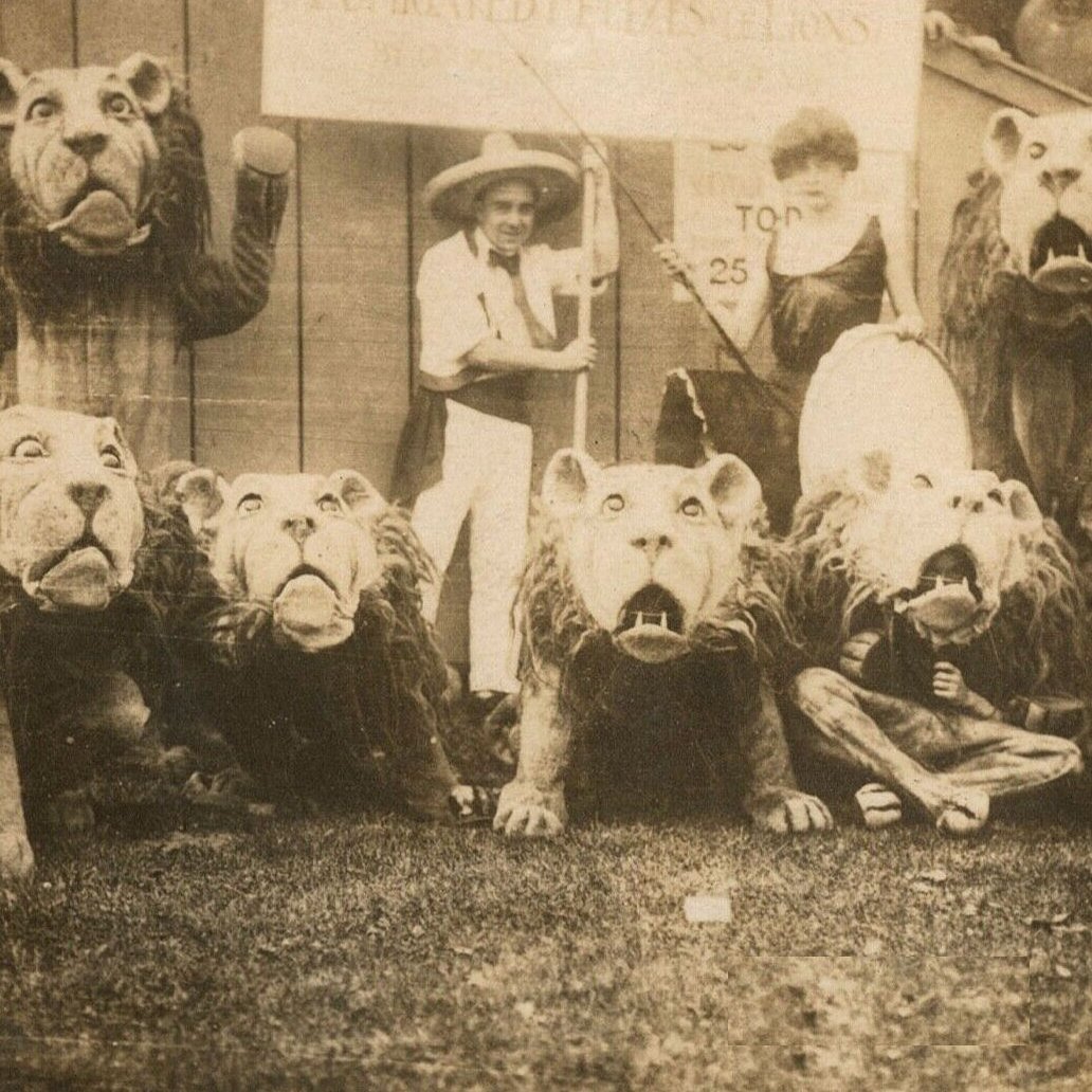 I had that dream again