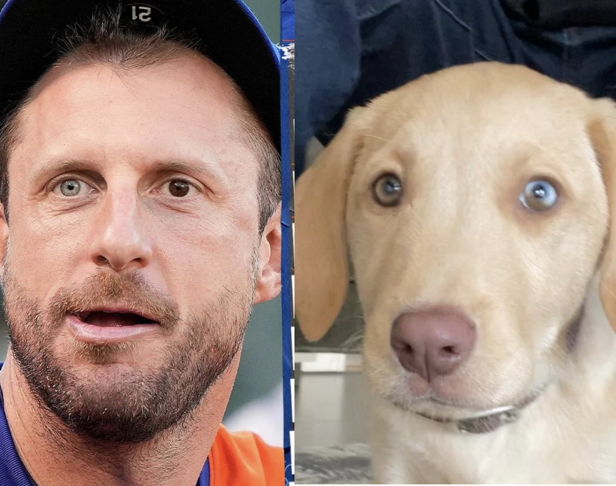s2morris's tweet photo. @genymets Dog years https://t.co/qhSh111YNC