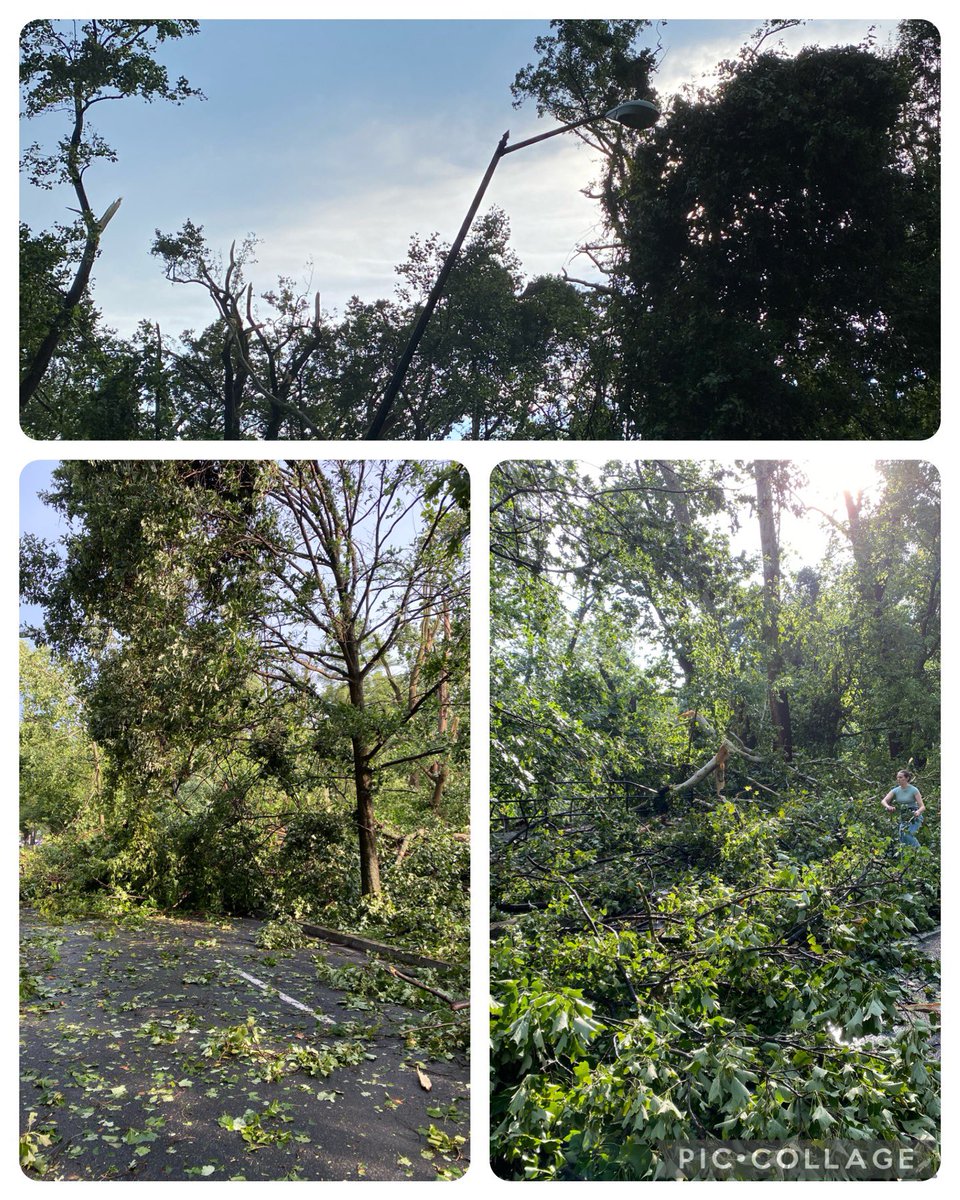principal_aps's tweet photo. When your community is hit hard by a storm and you see the devastation, you take action! @RandolphIBStars #ServiceAsAction #HowWeOrganizeOurselves #caring #principled https://t.co/DA59WdVHAa