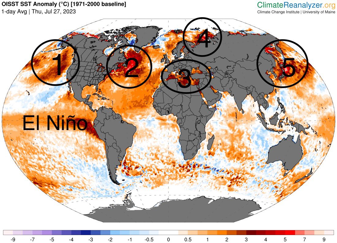La temperatura superficial del mar se encuentra a nivel global en valores record🔥 desde Abril pasado. No sólo #ElNiño ha estado contribuyendo a estos récords…

⚠️En el HemisferioNorte se cuentan al momento al menos 5 grandes #OlasDeCalor marinas😱👇climatereanalyzer.org/clim/sst_daily/