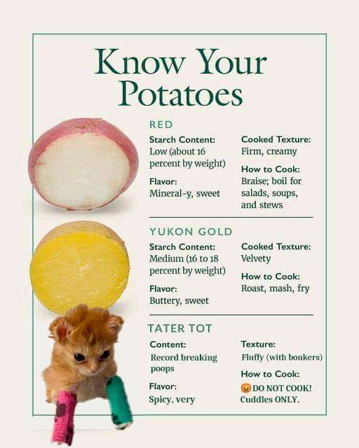 WholesomeMemes (@wholesomememe) on Twitter photo 