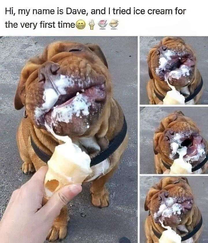 WholesomeMeme's tweet photo. https://t.co/Us0bdIGGoA