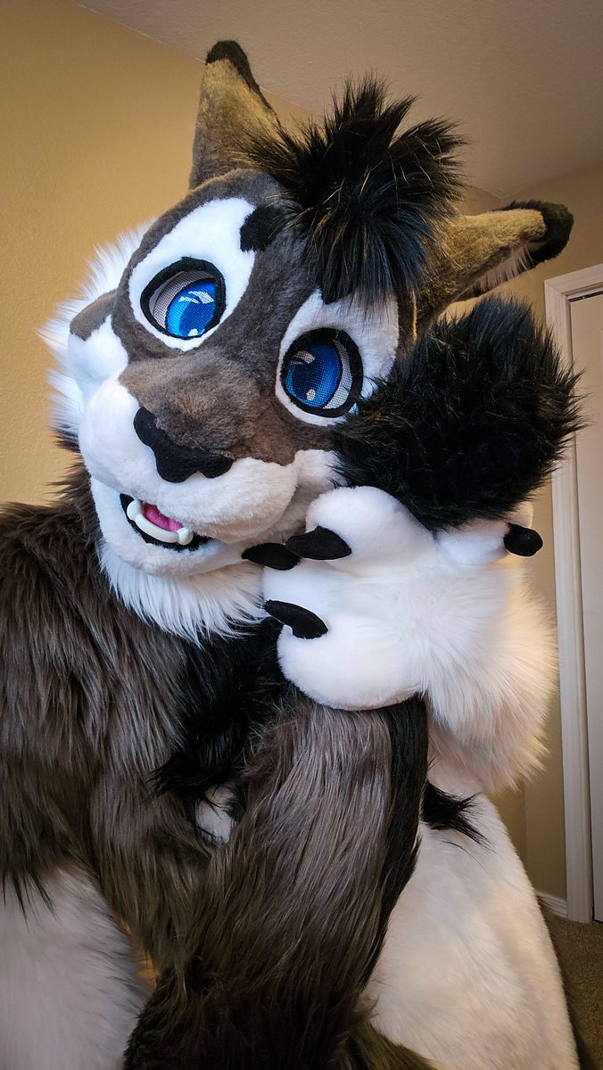 Gengi Cabbit tweet media