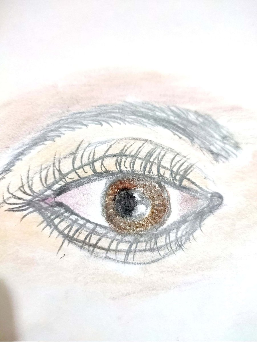 FatimaNargis4's tweet photo. 🍂❣️❣️🌿 Eye  is very special to all❣️ https://t.co/GjujDgWCZN