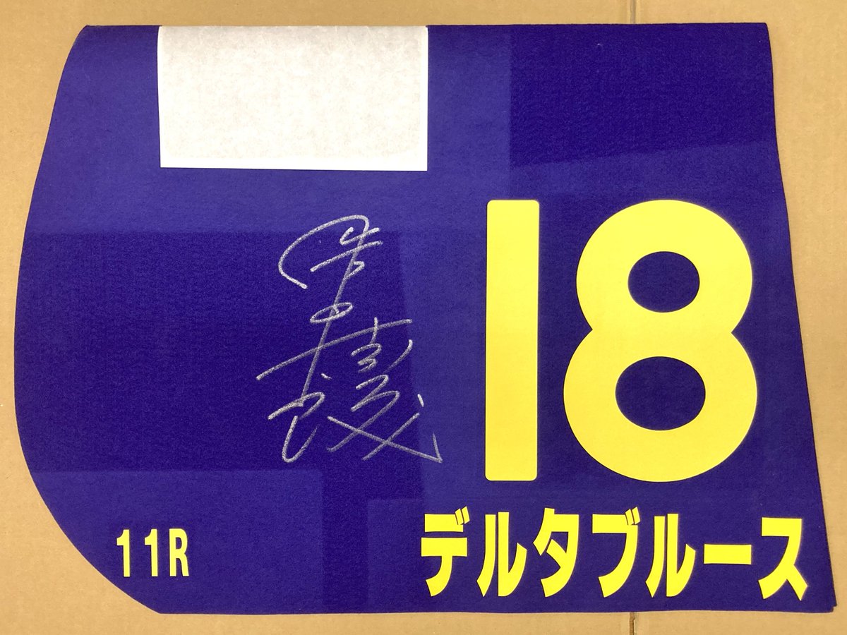 予備ゼッケン #デルタブルース 2004年 第65回 菊花賞 岩田康誠騎手