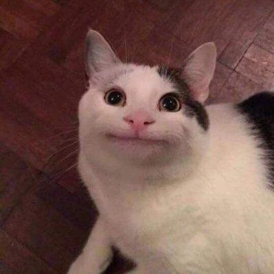 :]