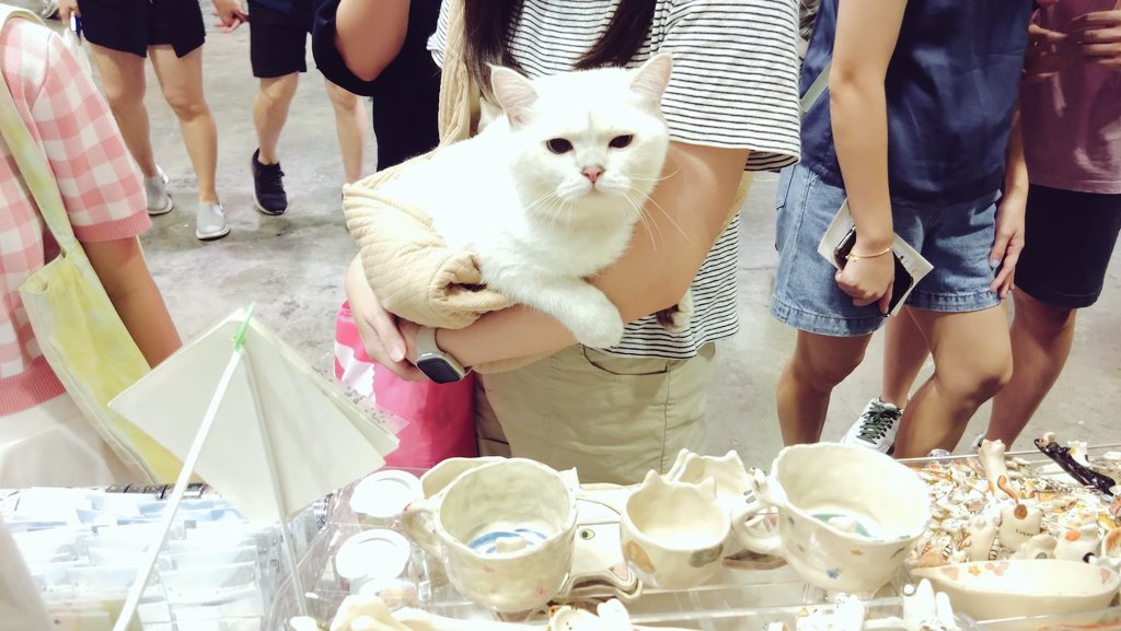 ppweiwei's tweet photo. 🐱RTs appreciated ✨
Hello! I am at #AsiaCatExpo2023 , Singapore this weekend!
Bring my new products of CLOUD CAT collection here
🎏The booth number : T-32
🐱Suntec Convention & Exhibition, Hall 406
Hope to see you there 💕💕✨✨🐱
#CatExpo #AsiaCatExpo #CatFestival https://t.co/okx4h7lAFv