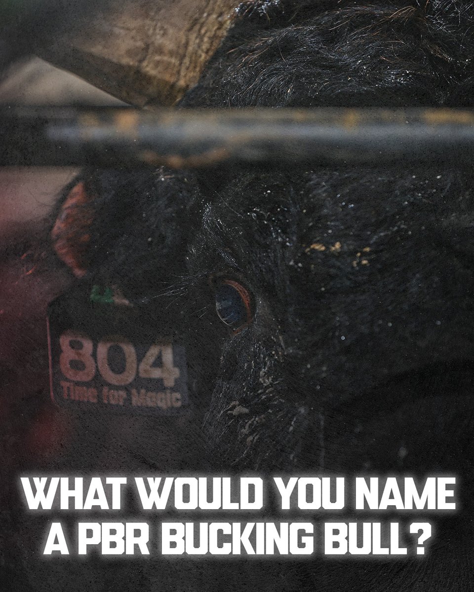PBR's tweet photo. We want to know. Drop your best bull names. 👀 https://t.co/BZBSg6n6tK