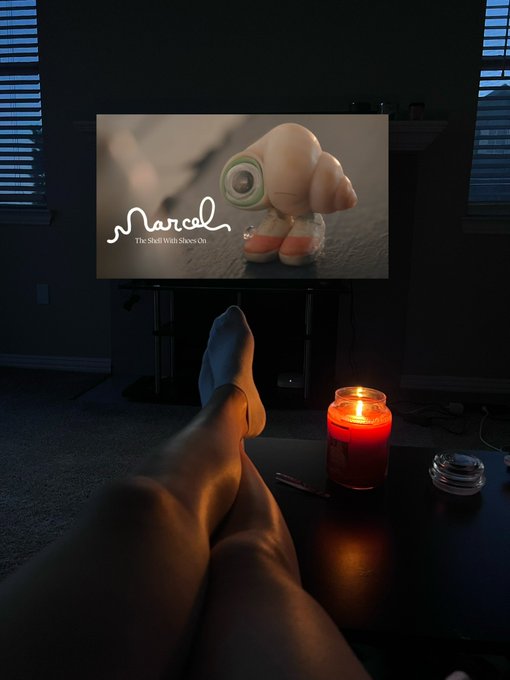 Tonight I have watched the most heartwarming movie &ldquo;Marcel the Shell with Shoes On&rdquo; It&rsquo;s kind, it&rsquo;s funny