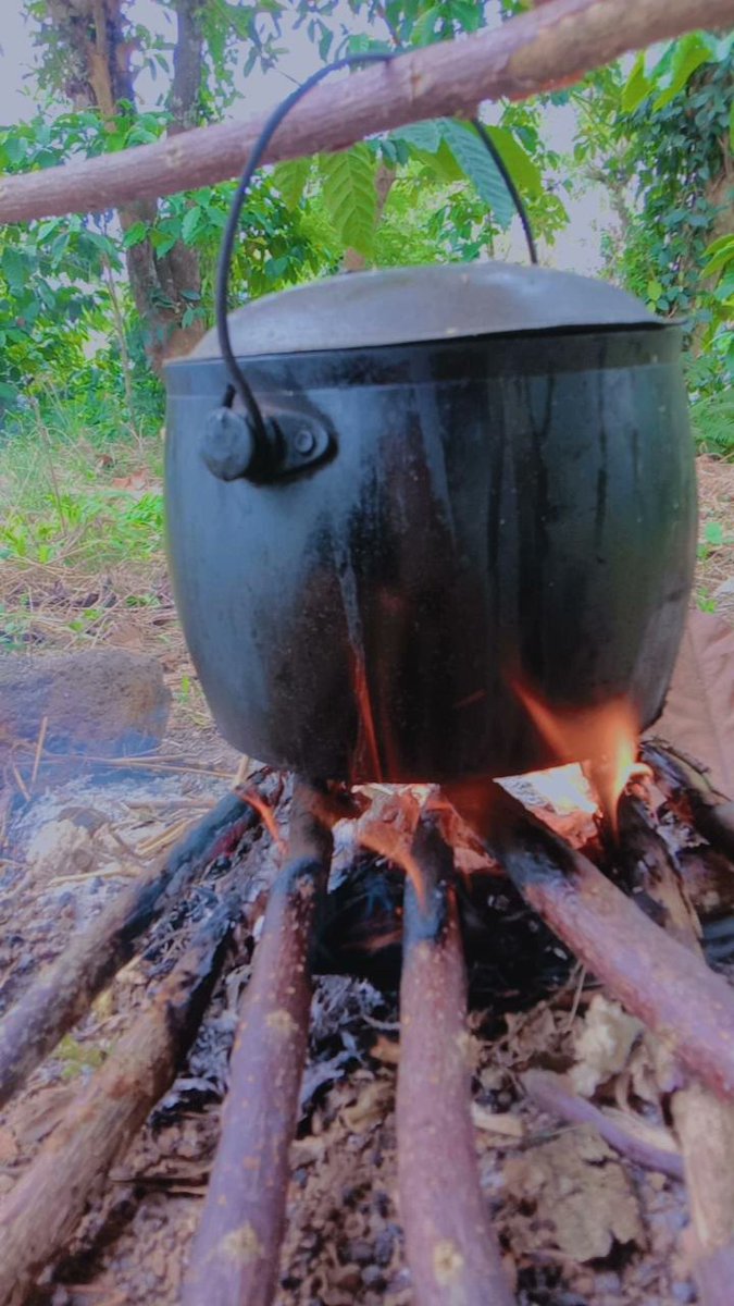 revindah95's tweet photo. Yang lain pada bingung mikirin harga gas naik.?
Sedangkan saya kurang mengerti masak mengunakan kompor gas😂
Karna sudah terbiasa masak mengunakan kayu bakar🙈
Tinggalnya pun dipendesaan Alhamdulillah bersyukur😉 https://t.co/EDQtp2kF0V