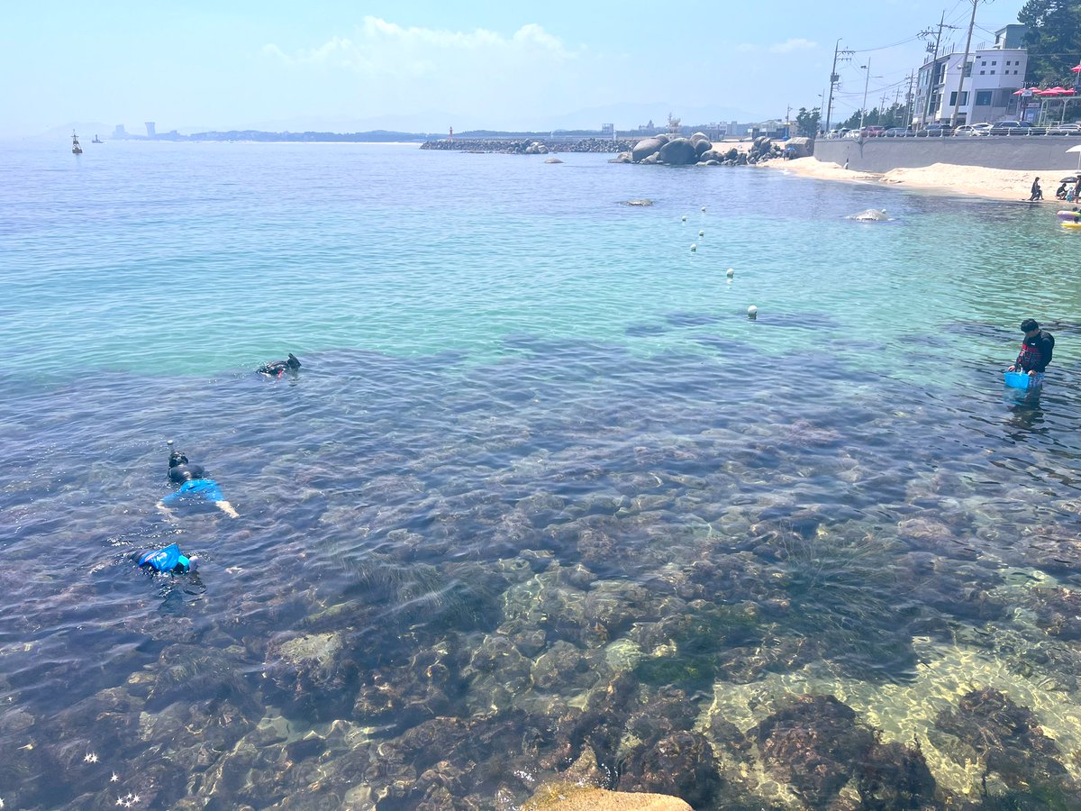 삼척 휴가여행!
동해에 커플만남 하시는분들 많이 있겠쬬🥹
#부부 #커플 #부커 #커플만남 #부커만남 #부부만남