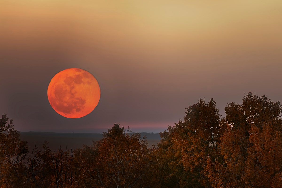 The cosmos is offering up a double feature in August: a pair of supermoons culminating in a rare blue moon.

The last time two full supermoons graced the sky in the same month was in 2018. It won’t happen again until 2037, according to Italian astronomer Gianluca Masi.