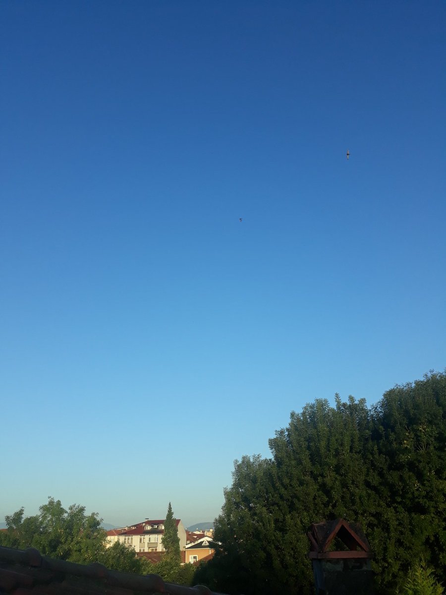 nachbitte's tweet photo. bir daha dünyaya gelsem güneşli pazar sabahı olmak isterim 💙 https://t.co/iEhZscEkGZ