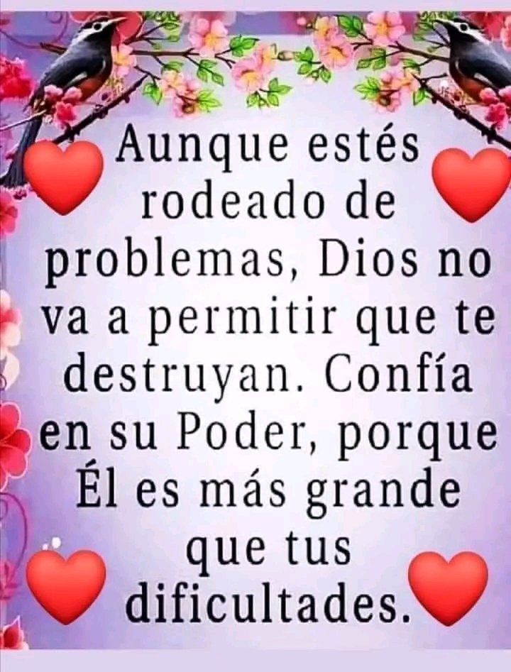 Maribel Ruiz (@maribel69138371) on Twitter photo 