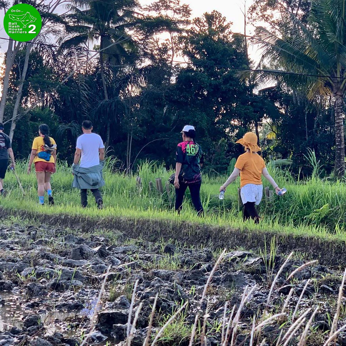 BaliHash2's tweet photo. Run 1599 Saturday 29-July-2023
Petak Kaja, Gianyar, Bali
Bali Hash House Harriers 2 trail run. We run every Saturday at 4PM. Follow us for weekly run map to the next location.
#bali #balihash2 #nofilter #fyp #prostbeer #hashinginparadise #olahraga https://t.co/DgN9xTVbJu