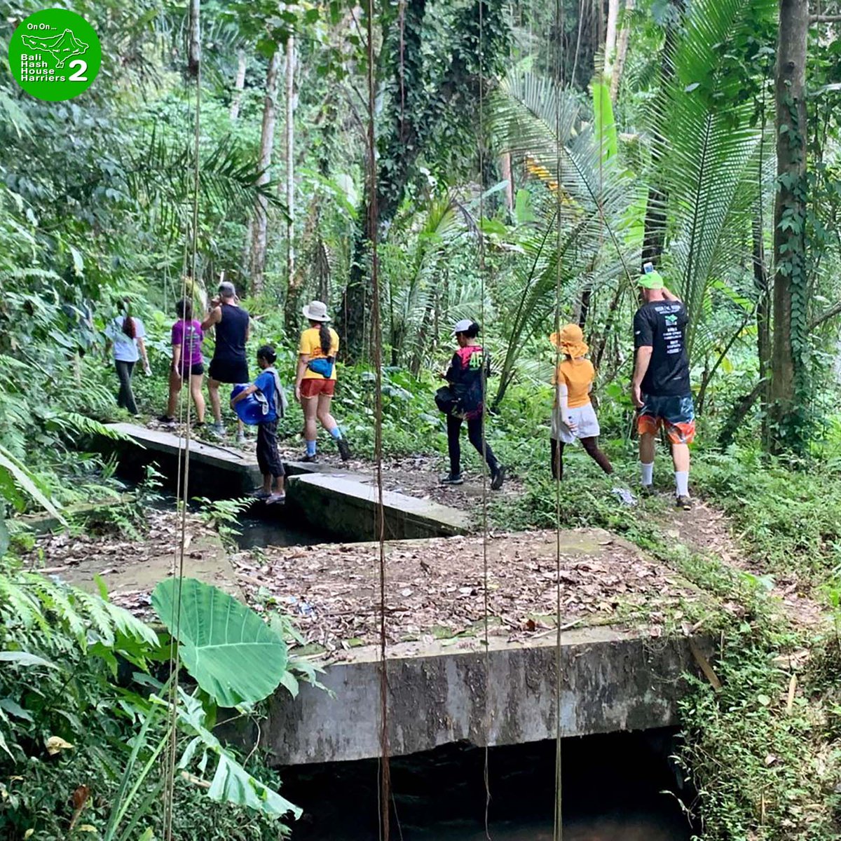 BaliHash2's tweet photo. Run 1599 Saturday 29-July-2023
Petak Kaja, Gianyar, Bali
Bali Hash House Harriers 2 trail run. We run every Saturday at 4PM. Follow us for weekly run map to the next location.
#bali #balihash2 #nofilter #fyp #prostbeer #hashinginparadise #olahraga https://t.co/DgN9xTVbJu