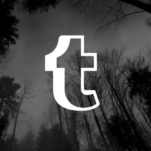 SergueyB's tweet image. #Tumblr ce site a été lancé en 2007 par son créateur, #DavidKarp. Actuellement ils font le ménage, comptes supprimés, bloqués sans raisons ni avis.