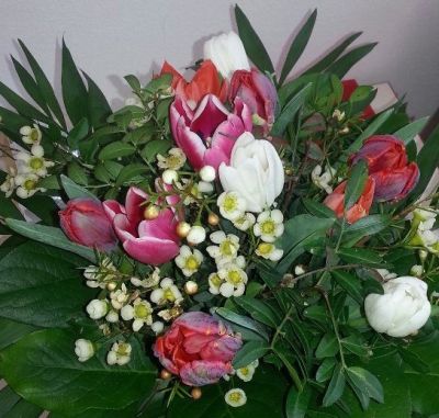 AmaberlMakki's tweet photo. Einen wunderschönen #GutenMorgen
Habt einen schönen und erholsamen Sonntag 🙋♂️☕️🍷🍸 🥂 😃🌺🍀
Das ist jetzt mein 5555. #Tweet auf diesem #Acccont - also mein bisherig wertvollster #SuperTweet https://t.co/0AWPQITMHg
