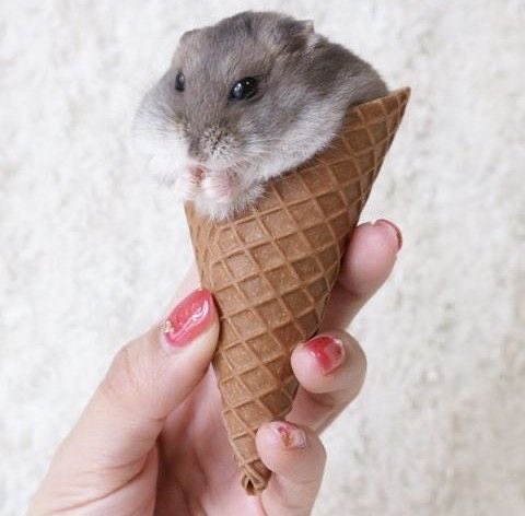 so Sorry for late update… plz accept Seungkwan ice cream…