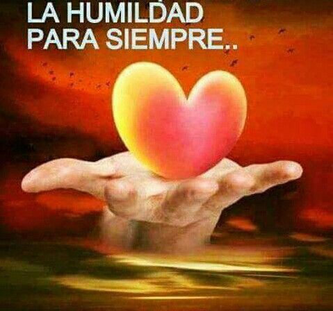 luvquackityy's tweet photo. #quackityspace Quackity todo humilde lavando sus trastes con una esponja toda rota y llena de mugre https://t.co/nz9Nbe60Ml