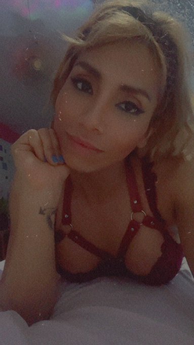 #Rt ReDMotivation Follow me for more #follo4folloback #transgirl #colombiana #Spain #red #lingerie  @ts4pleasure2<a href="/tag/rt"class="tags">#Rt</a><a href="/tag/follo4folloback"class="tags">#follo4folloback</a><a href="/tag/lingerie"class="tags"><span>#lingerie</span></a><a href="/tag/colombiana"class="tags"><span>#colombiana</span></a><a href="/tag/spain"class="tags"><span>#spain</span></a><a href="/tag/red"class="tags"><span>#red</span></a><a href="/tag/transgirl"class="tags"><span>#transgirl</span></a><a href="/tag/likeforlikes"class="tags"><span>#likeforlikes</span></a>
