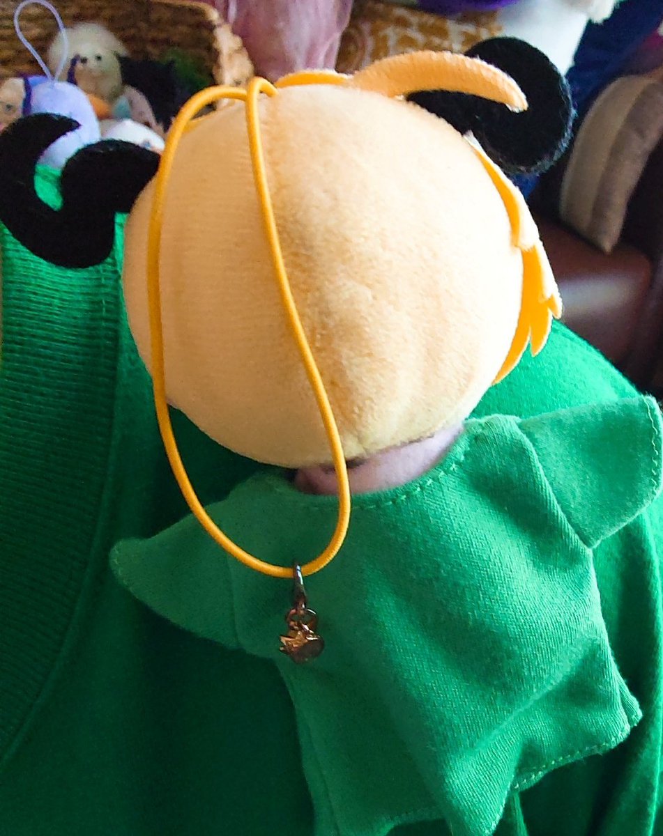 eternalnui's tweet photo. 緑のシャツ来てたらくっついて来てくれた。少しだけ懐いてくれたかもしれないと思って撫でようとしたら飛んでいってしまった。
クワガタかよ。というか、私のこともしかして木がなんかと間違えて？？？
#ｻﾀﾍﾞさま https://t.co/h1DKoMfwpW