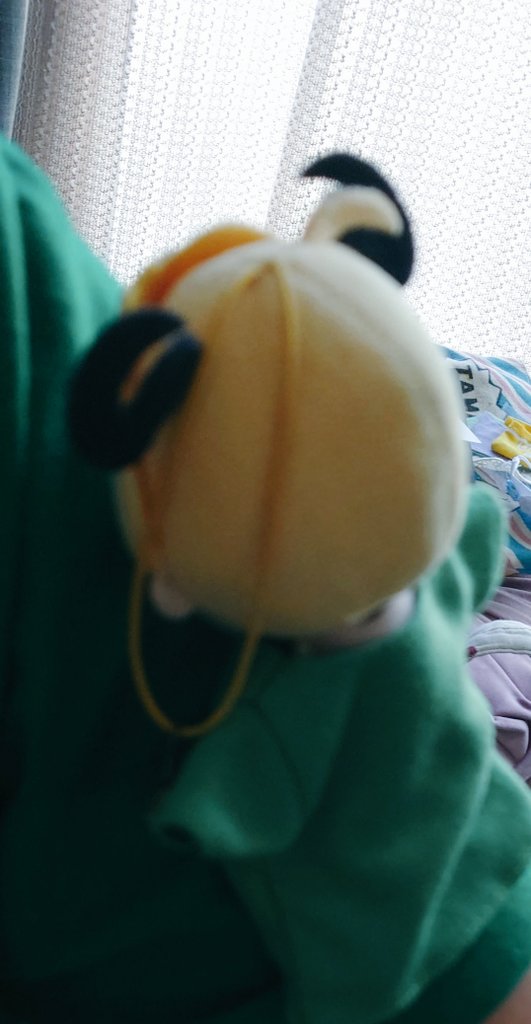eternalnui's tweet photo. 緑のシャツ来てたらくっついて来てくれた。少しだけ懐いてくれたかもしれないと思って撫でようとしたら飛んでいってしまった。
クワガタかよ。というか、私のこともしかして木がなんかと間違えて？？？
#ｻﾀﾍﾞさま https://t.co/h1DKoMfwpW