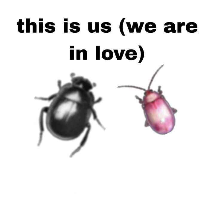 _ (@fairydollblood) on Twitter photo 