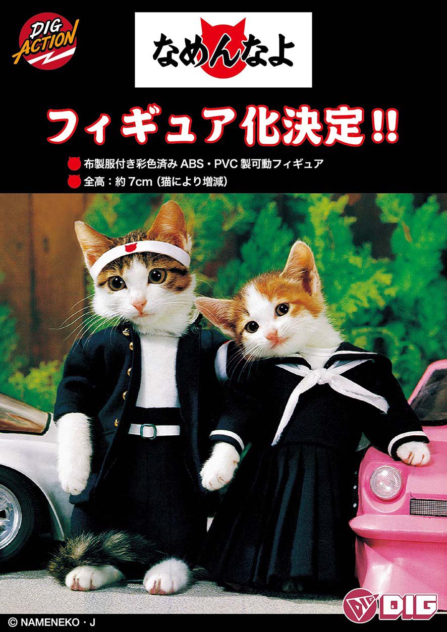 なめ猫トランプ 嵌めよ なめ猫トランプ 嵌めよ