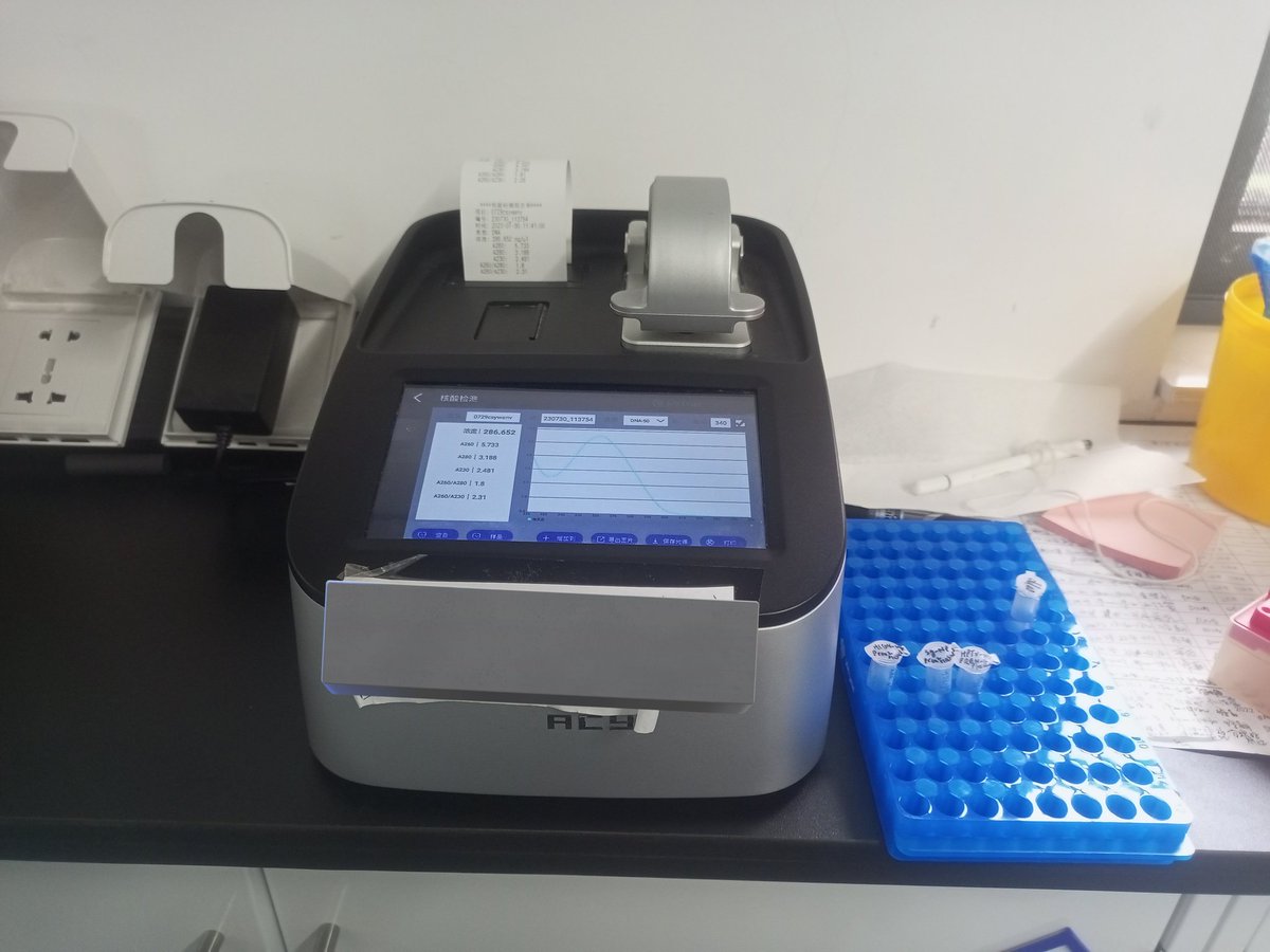 Muhamma32806873's tweet photo. "In science, there are no shortcuts to truth." - Karl Popper
#Wuhan 
#phdlife 
#phdstudent 
#scientist 
#Virology 
#arboviruses 
#molecularTechniques 
#nanodrop https://t.co/VNzpafKw1G