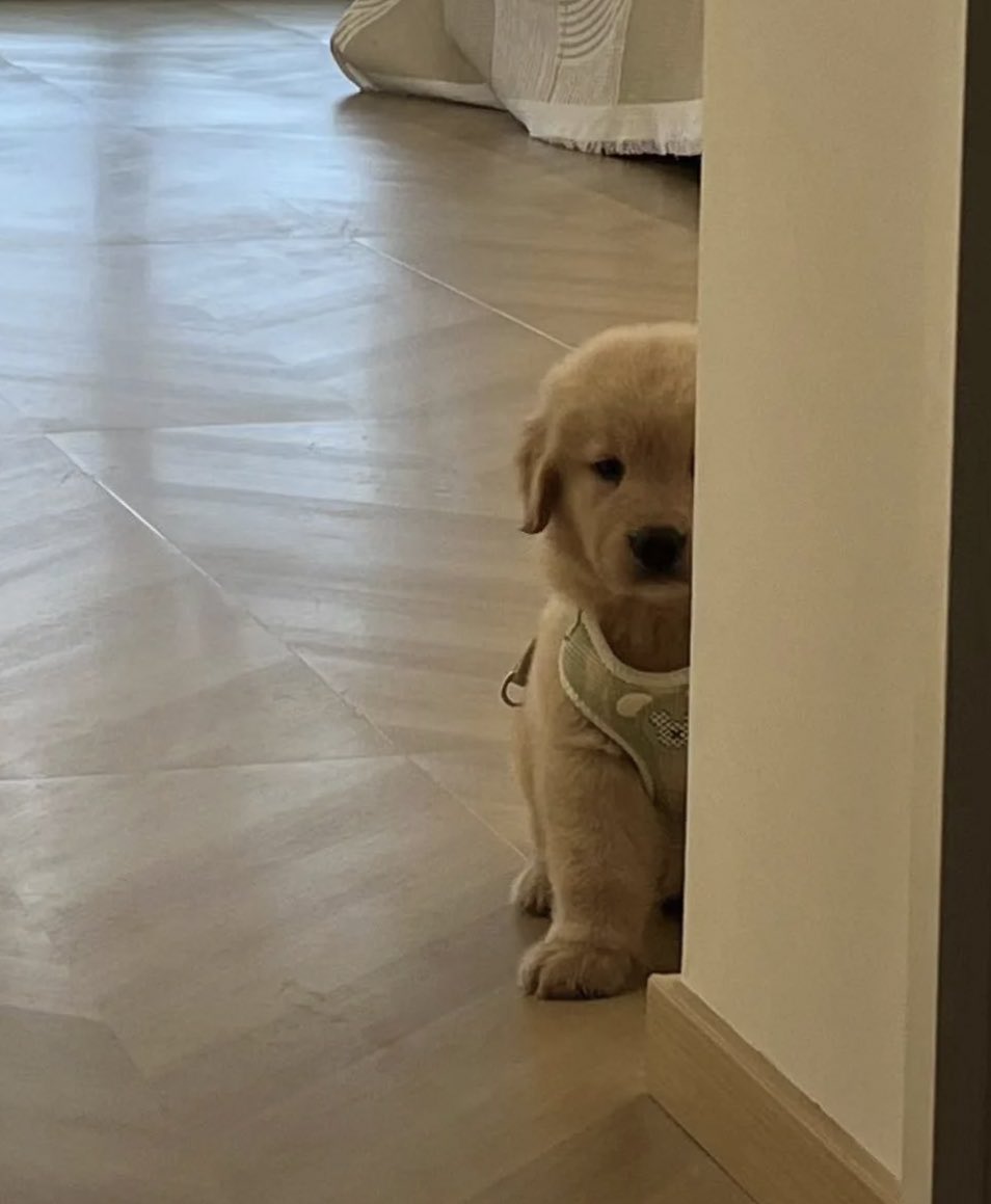 จะออกไปเท่วกะใค