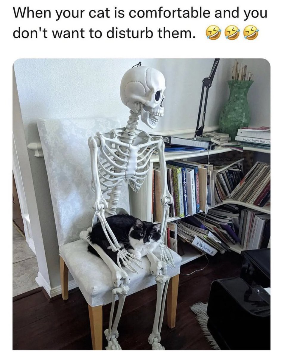 sumace's tweet image. We understand @PickliciousF don’t we @JaneFallon @rickygervais 🙏🏻