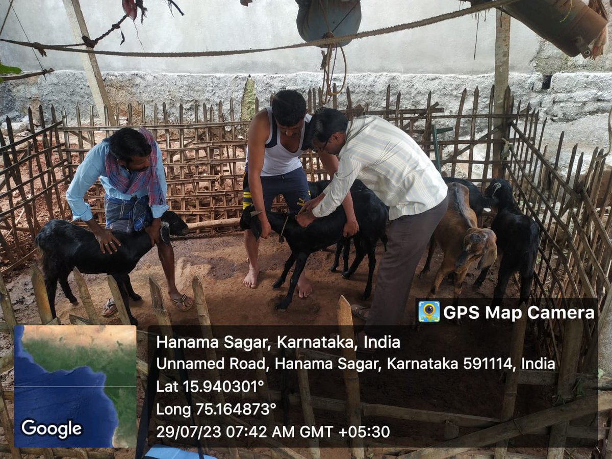 AHVS_Karnataka's tweet photo. ದಿನಾಂಕ: 30/07/2023 ರಂದು ಬೆಳಗಾವಿ ಜಿಲ್ಲೆಯ ರಾಮದುರ್ಗ ತಾಲೂಕಿನ ವಿವಿಧ ಗ್ರಾಮದಲ್ಲಿ ಪಿ.ಪಿ.ಆರ್ ಲಸಿಕಾ ಕಾರ್ಯಕ್ರಮವನ್ನು ಡಾ.ಗಿರೀಶ್ ಪಾಟೀಲ್, ಮುಖ್ಯ ಪಶುವೈದ್ಯಾಧಿಕಾರಿ (ಆಡಳಿತ) ರವರ ನೇತೃತ್ವದಲ್ಲಿ ಹಮ್ಮಿಕೊಳ್ಳಲಾಯಿತು.
#Belgavi #PPRvaccination https://t.co/ERNAepCRy2