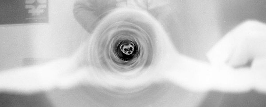 CaraSantaMaria's tweet image. Bizarre true story: Physicists once put a ferret in a particle accelerator. 😆
#ParticleAccelerator #Ferret #Physics #HistoryofScience
sciencealert.com/bizarre-true-s… via @ScienceAlert