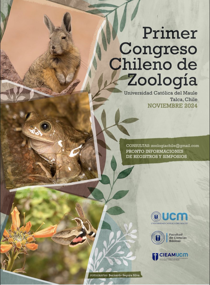 En Agosto informaremos la apertura de los Pre registros a juntar ganas para este 2024 con el encuentro Zoologico-Naturalista más grande del País a desarrollarse en la <a href="/ucatolicamaule/">U.Católica del Maule</a> ya pueden pasar la voz entre biólog@s, veterinari@s, naturalistas, agrónom@s, entre otras areas!