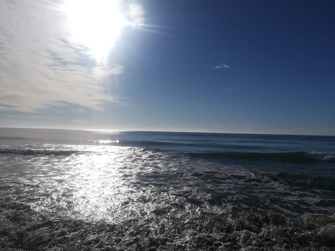 El prólogo en la noche que no cierra mis ojos, es tan sólo el pasado del presente.

Camino sin saber donde conducen las huellas presentidas.

Cada vez más callada...

Sé que estoy sola y soy naturaleza.

Efi Cubero.