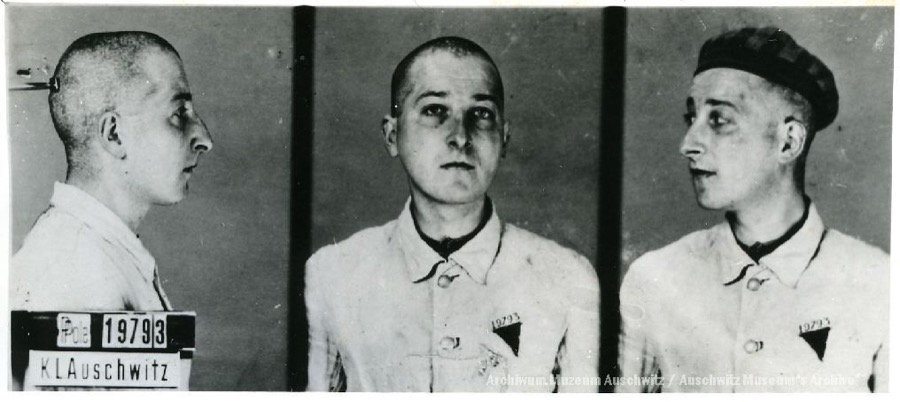 Auschwitz Memorial tweet media