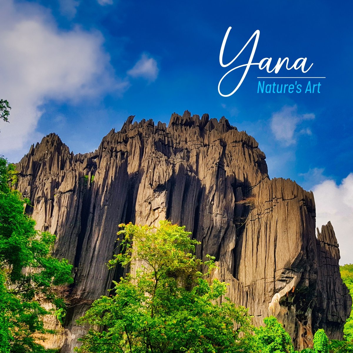 The two majestic pre-historic rock formations named Bhairava and Mohini rise 400 feet and 300 feet into the sky jutting out of the forest cover are one of the unique marvels of nature.

For more info:
chaloindiaworld.com/tour-item/yana/

#chaloindiaworld #indiatourism #indiatravelgram