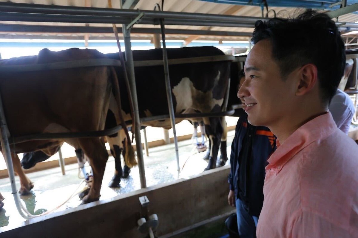 ก้าวไกลของประชาชน - Move Forward tweet media