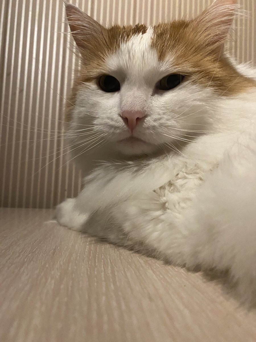 ДимаЛи tweet media