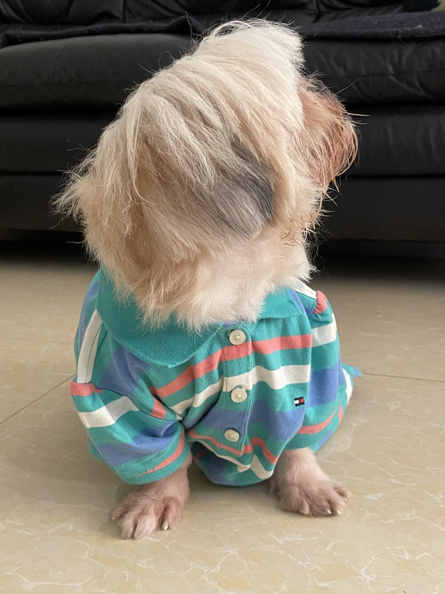 “I get no peace in this house 😩”