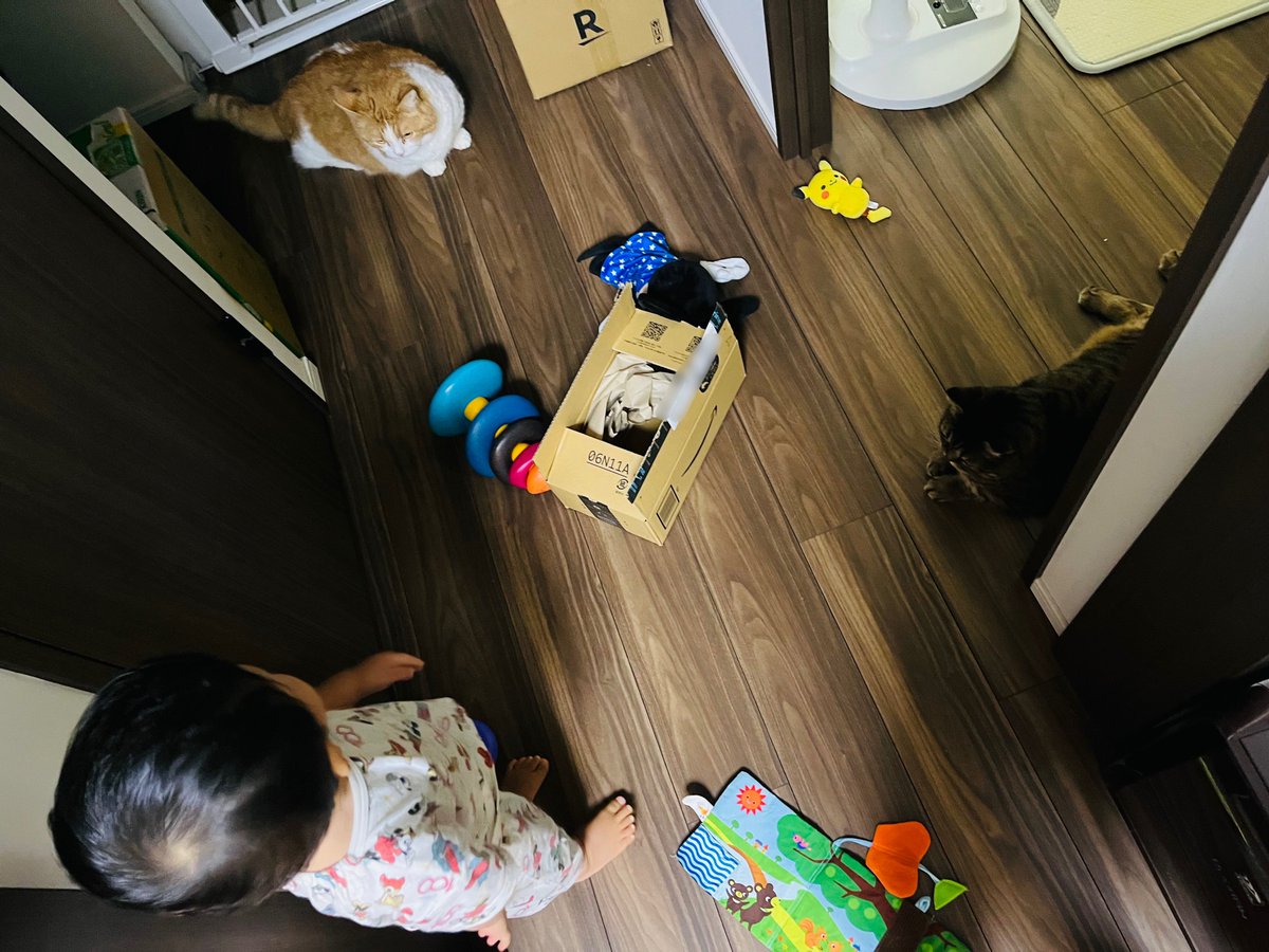 これは今朝トイレにこもってたらドアの前でちびっ子集会が行われてたっていう写真
